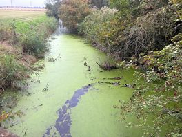 Canal