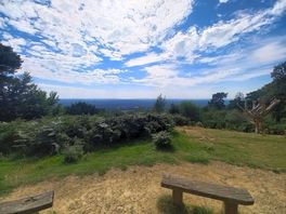Leith hill lookout
