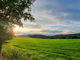 Sunset on the fields