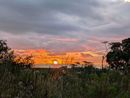 Beautiful sunset