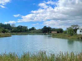 View on to the lake