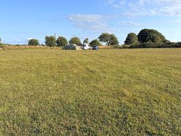 Our pitch