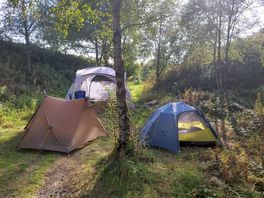 Our set up