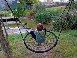 Kids loved the swing