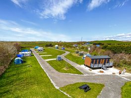 Non Electric Field / Showers and Toilets