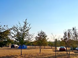 Morning at small trees camping