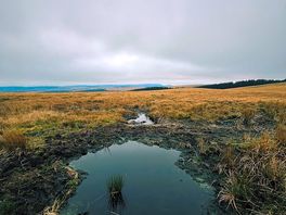 ‎⁨bannau brycheiniog national park⁩, ⁨merthyr tydfil⁩, ⁨wales⁩, ⁨united kingdom⁩