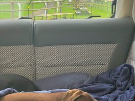 Motor home view