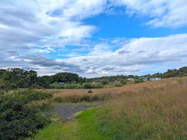 The site as viewed from the walk.