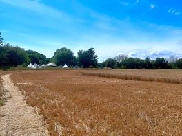 View of camp from the field