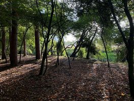 The holt - a beautiful little spot with access to the river