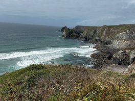 Walking nearby in lizard only a few minutes drive away
