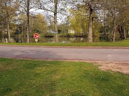 Pond
