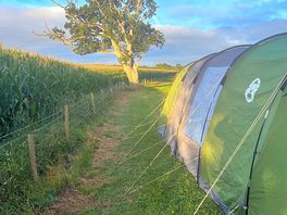 Perfect for the tent.