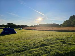 Campiing field