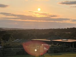 Evening sun.