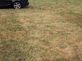 View from the top of the field.