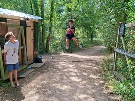 Swing and shower in woods