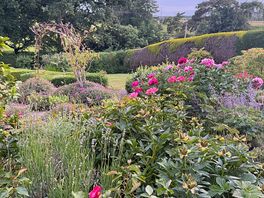 Gardens on site