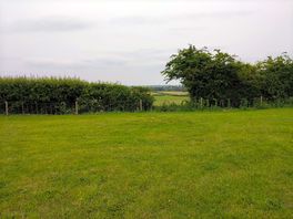 View from pitch