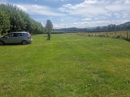 Beautiful orchard to camp in