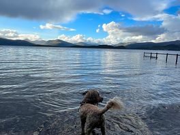 Loch view