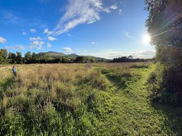 View over campsite