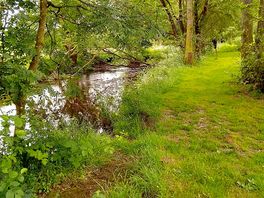 River was pretty but only a really small area you couldn't take a walk along it