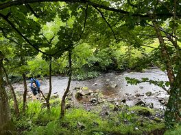Little stream down the walkers’ path