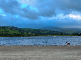 Lake shoreline