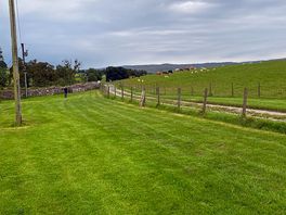The camping field