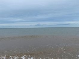 Nearby beaches for dog walking