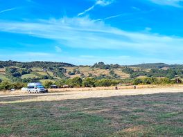 View of the site