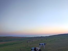 Sundown