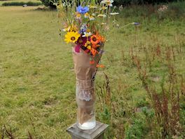 Local wildflowers.