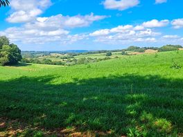 Views from. site