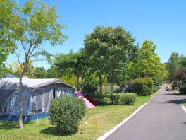 View of the site