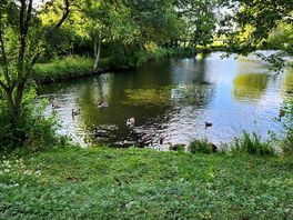Nice to just sit in the shade and relax