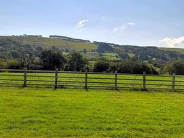 View over the grass pitches