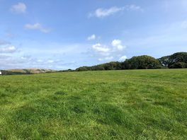 View of the site from our van, so peaceful