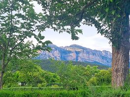 Vistas desde la parcela.
