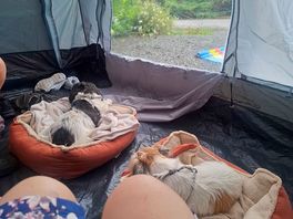 Even the rain didn't dampen the beauty of the campsite
