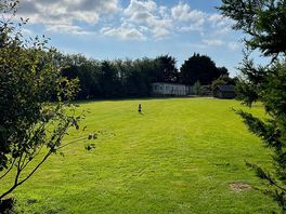 The view from the tent