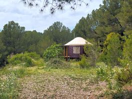 Yurt exterior