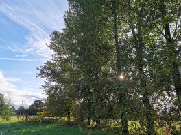Nature trails starting on site