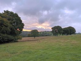 Outlook