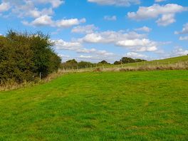 Views from the site