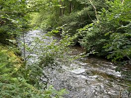 River neighbouring the site
