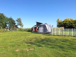 Grass pitches