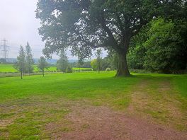 Dog walking area